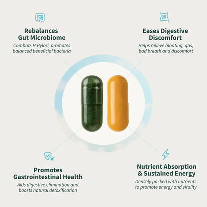 Gut Health Supplement Bundle