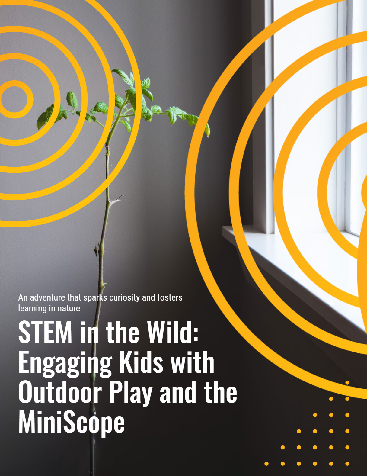 FREE E-Book ($40 Value!)